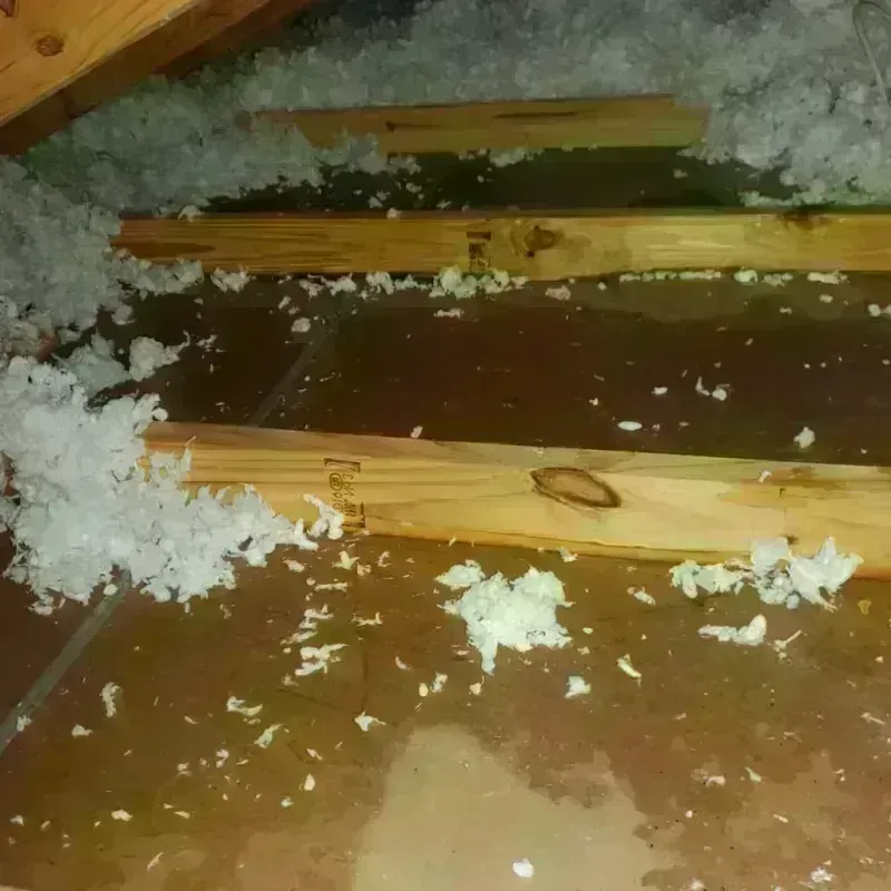 Attic Water Damage in Genesee County, NY