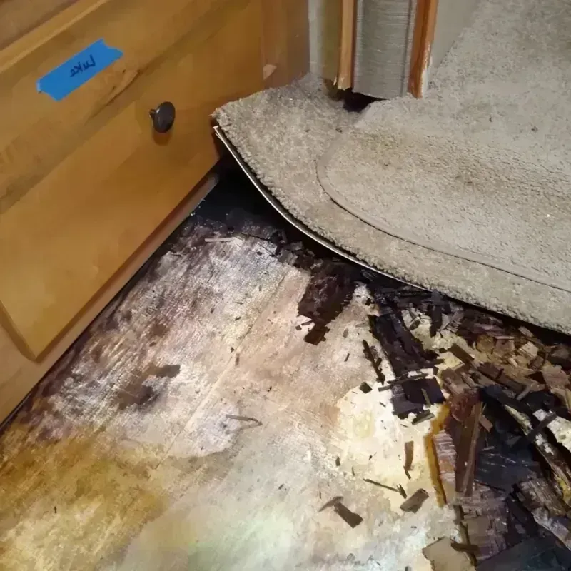 Wood Floor Water Damage in Genesee County, NY